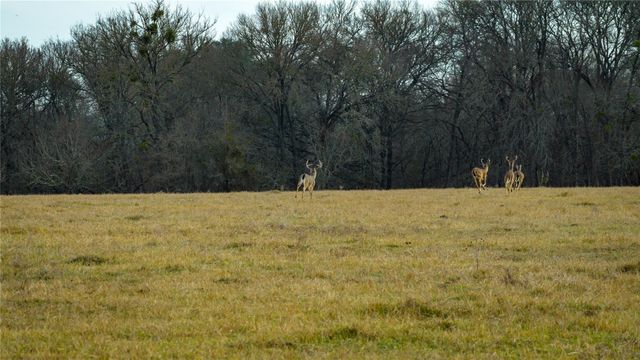 218 Brody LN, Bastrop, TX 78602