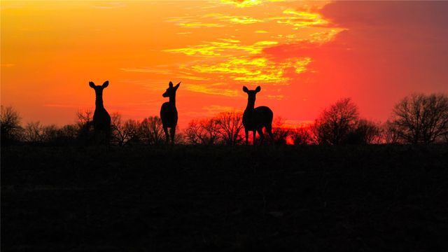 218 Brody LN, Bastrop, TX 78602