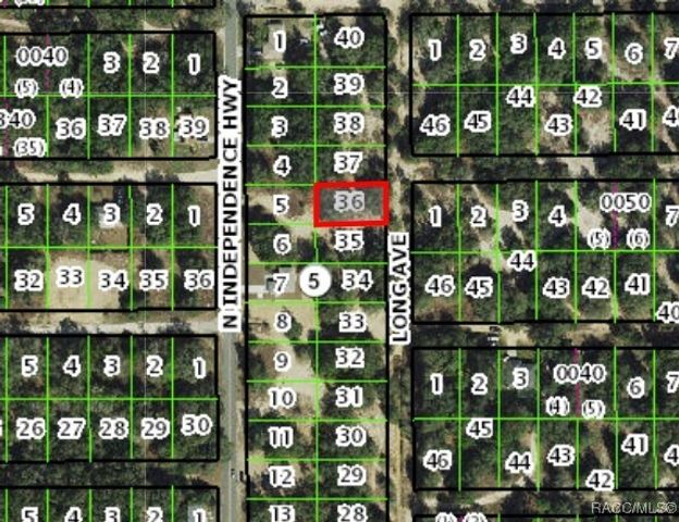 1011 Long Avenue, Inverness, FL 34453