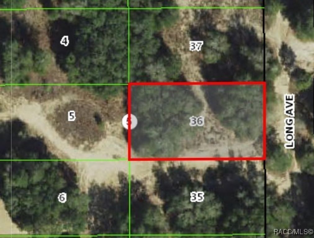 1011 Long Avenue, Inverness, FL 34453