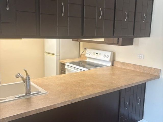 820 Elder Road C115, Homewood, IL 60430