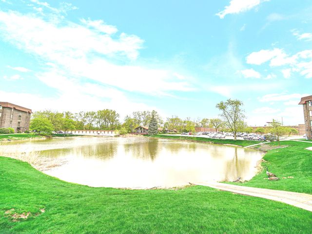 820 Elder Road C115, Homewood, IL 60430