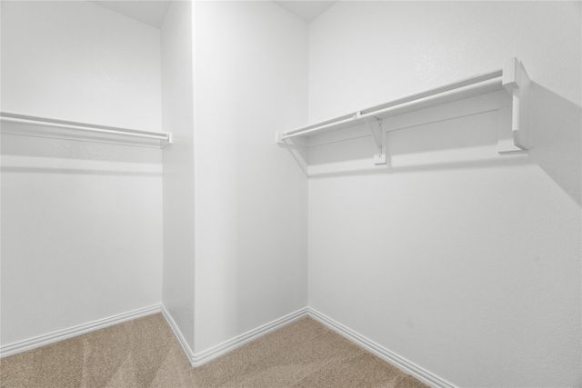 1612 Dove Drive, Princeton, TX 75407