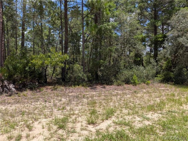 3777 W Century Boulevard, Dunnellon, FL 34433