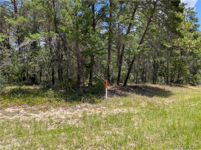 3777 W Century Boulevard, Dunnellon, FL 34433