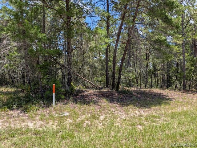3777 W Century Boulevard, Dunnellon, FL 34433