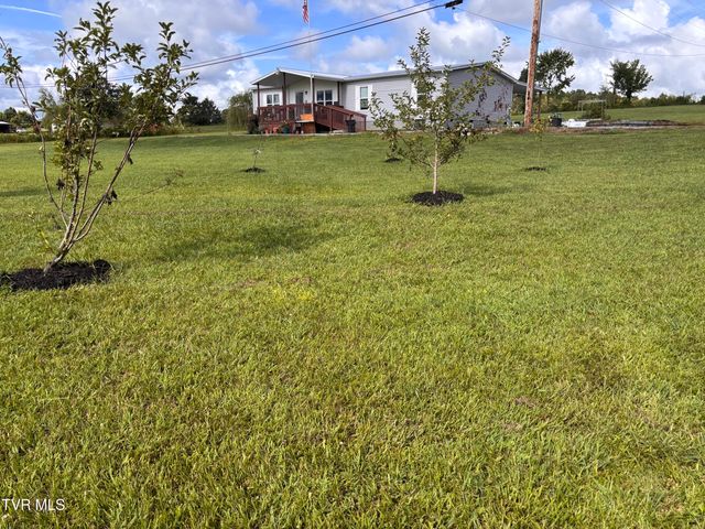 280 Camp Creek Road, Greeneville, TN 37743