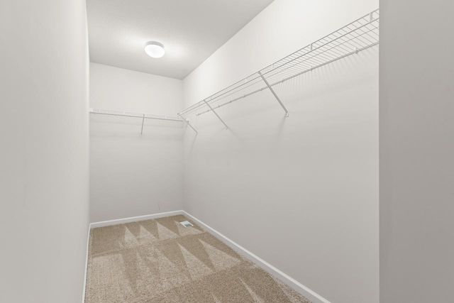 732 Wildflower Lane, Chanhassen, MN 55317