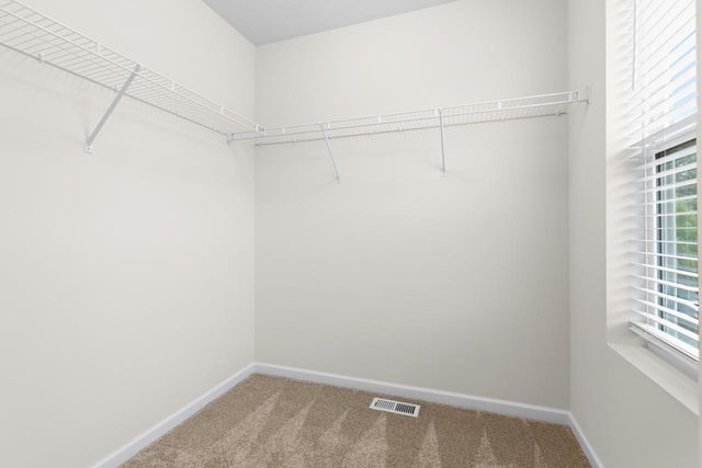 732 Wildflower Lane, Chanhassen, MN 55317