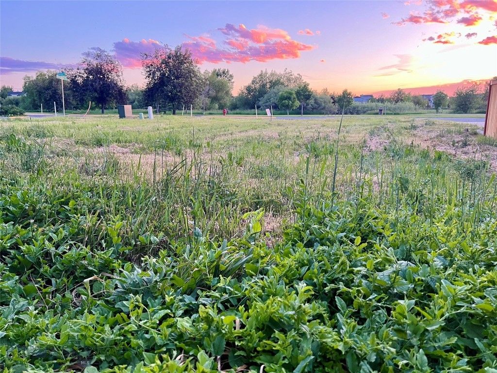 336 N Hanley Avenue, Bozeman, MT 59718 photo 32