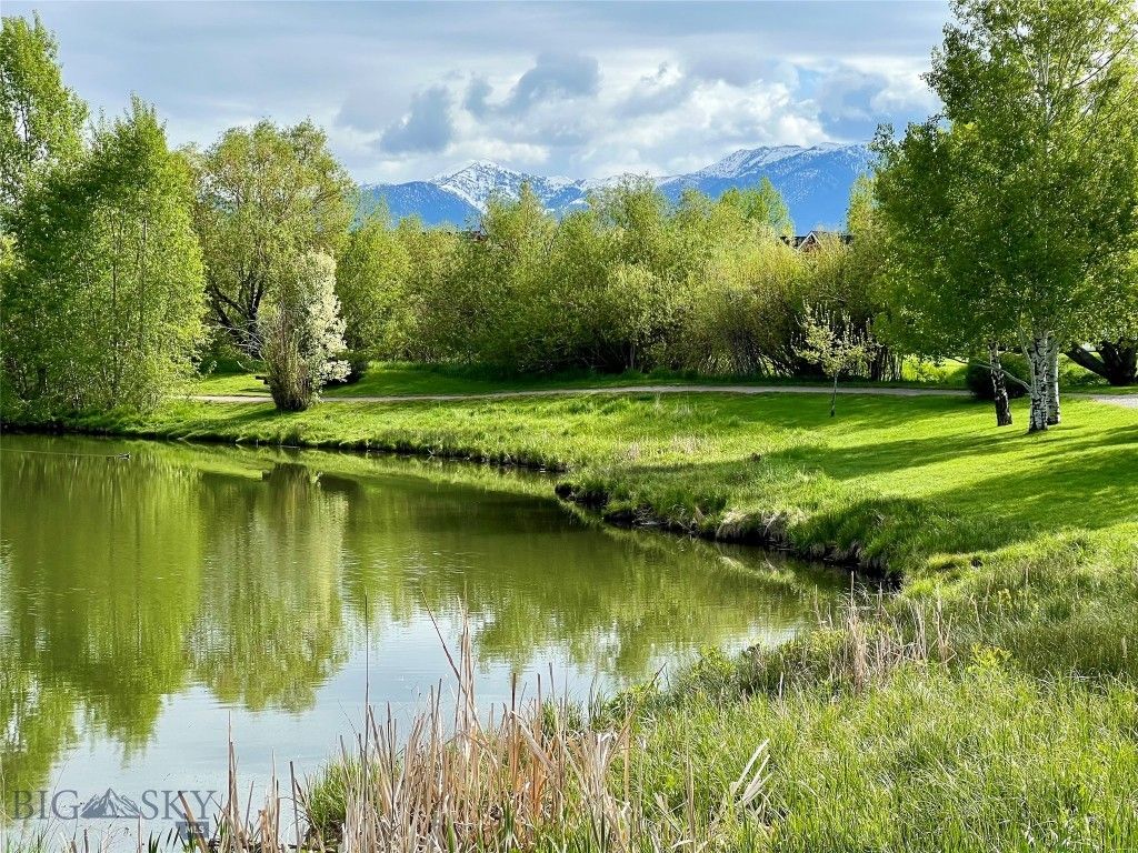 336 N Hanley Avenue, Bozeman, MT 59718 photo 4