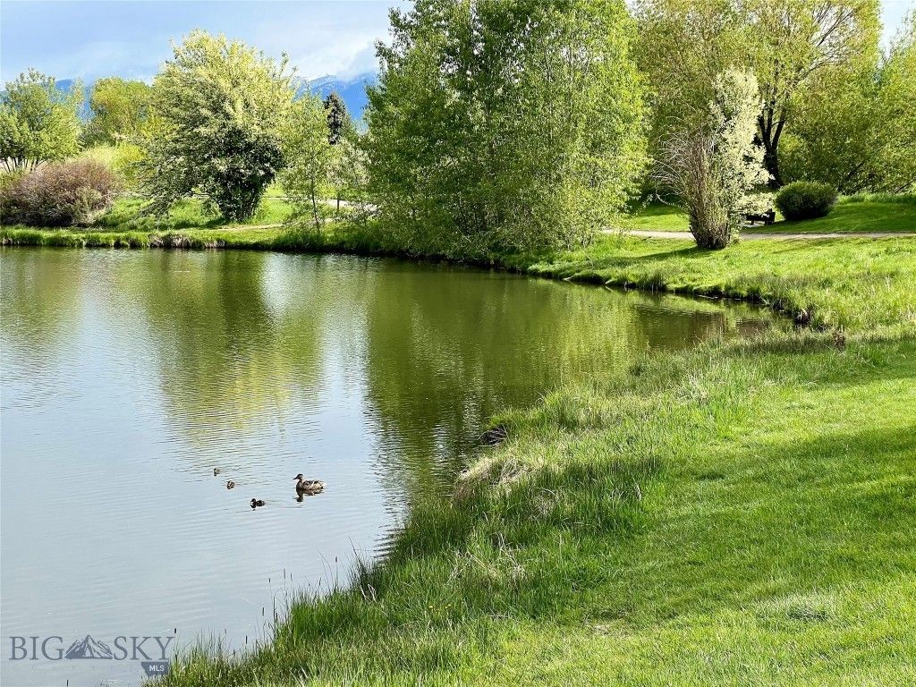 336 N Hanley Avenue, Bozeman, MT 59718 photo 5