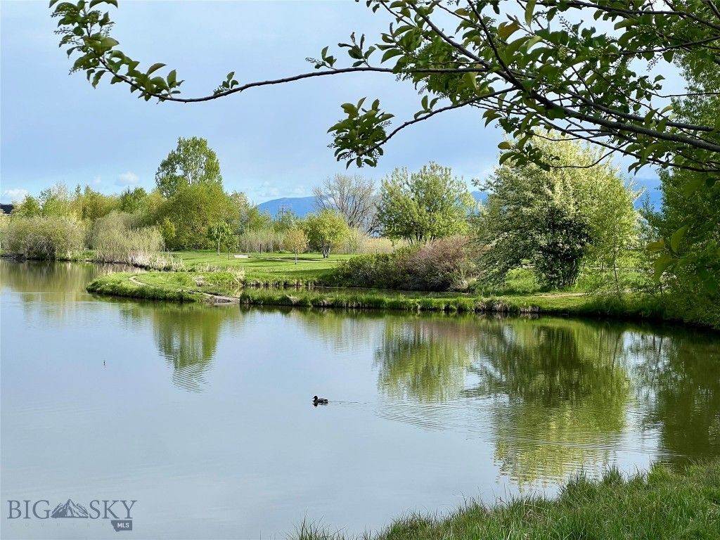 336 N Hanley Avenue, Bozeman, MT 59718 photo 6