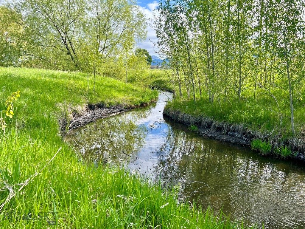 336 N Hanley Avenue, Bozeman, MT 59718 photo 7