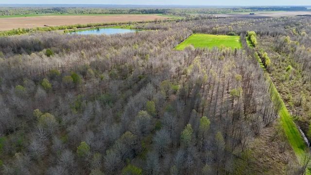 6992 Blackhawk Acme Levee Road, Vidalia, LA 71373