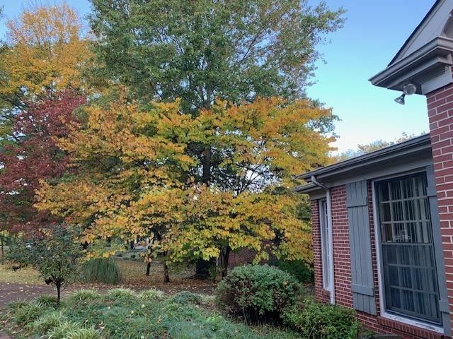 1037 Rolling Fields Cir, Columbia, TN 38401