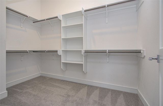 8930 Spring Knoll Forest Drive, Houston, TX 77080