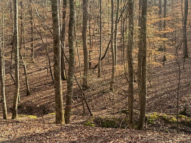 Lot 2750 Nimrod Court, Ellijay, GA 30540