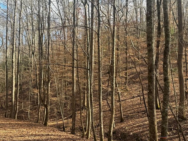 Lot 2750 Nimrod Court, Ellijay, GA 30540