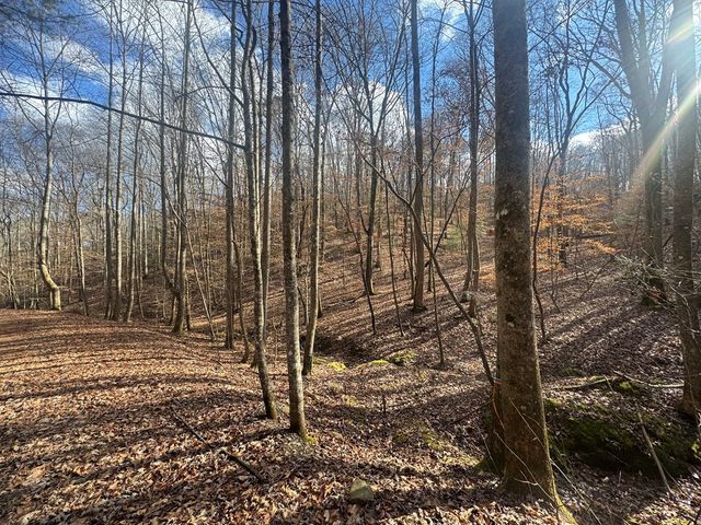 Lot 2750 Nimrod Court, Ellijay, GA 30540