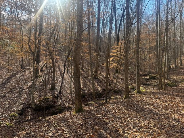 Lot 2750 Nimrod Court, Ellijay, GA 30540