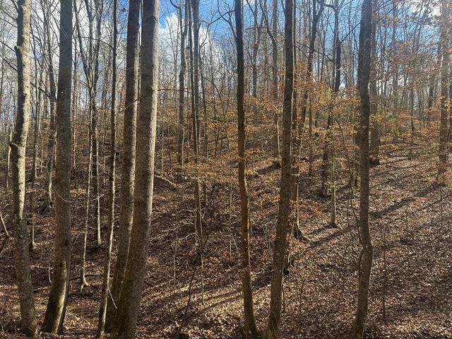 Lot 2750 Nimrod Court, Ellijay, GA 30540