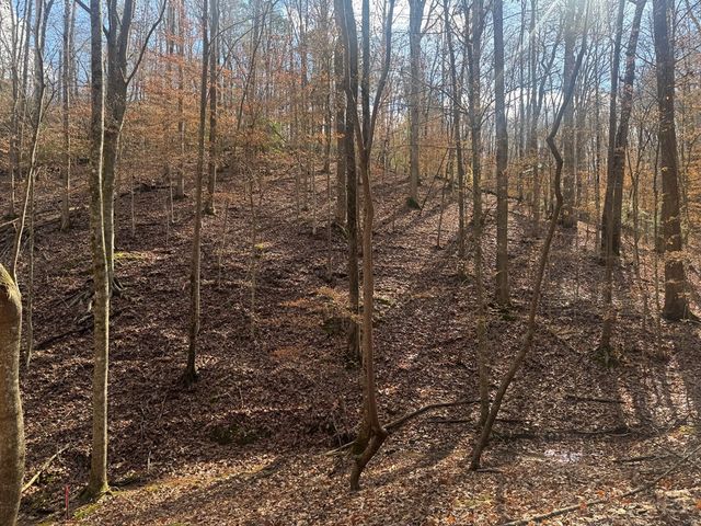 Lot 2750 Nimrod Court, Ellijay, GA 30540