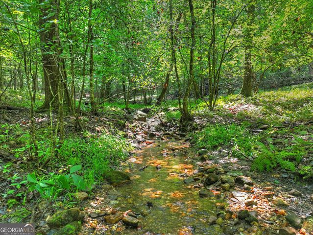 467 Logan Drive, Mineral Bluff, GA 30559