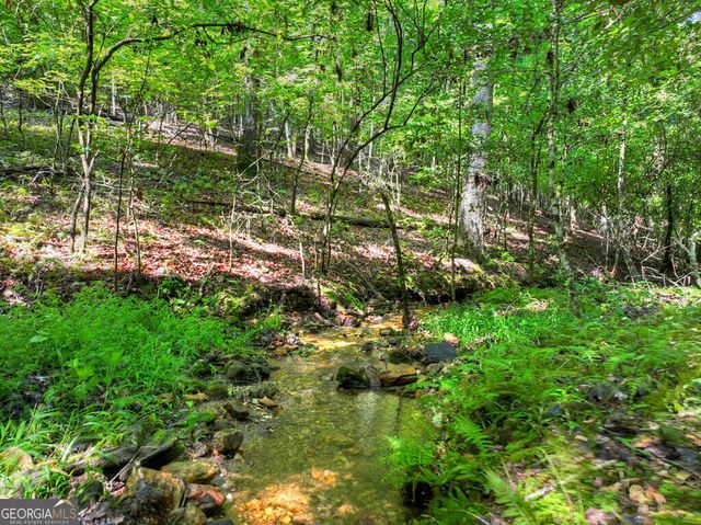 467 Logan Drive, Mineral Bluff, GA 30559