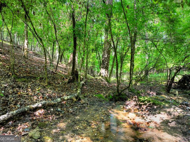467 Logan Drive, Mineral Bluff, GA 30559