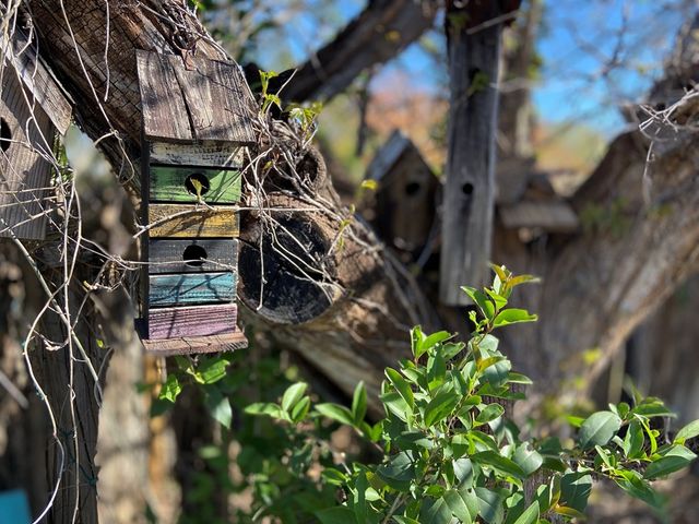 825 Myrta St, Kerrville, TX 78028