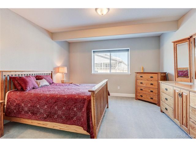 6602 Mentha Dr, Castle Rock, CO 80108