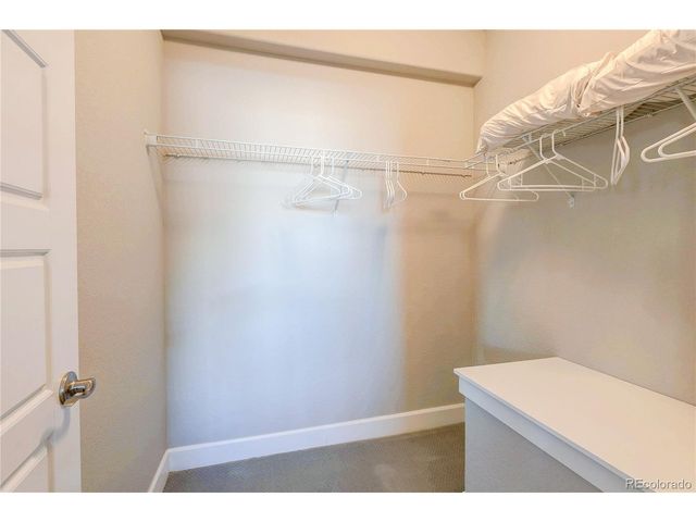 6602 Mentha Dr, Castle Rock, CO 80108