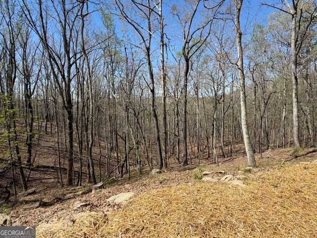 267 McClure Drive, Dallas, GA 30132