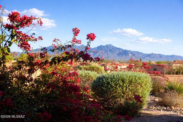 3911 Via Del Tordo, Green Valley, AZ 85622