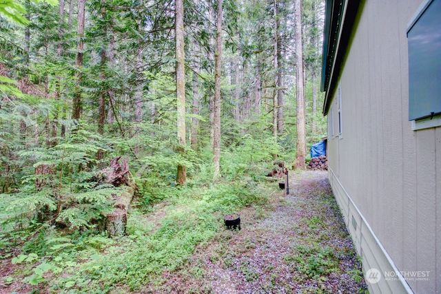 20 1 Goldrush Road, Deming, WA 98244