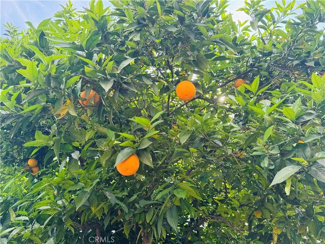 12538 Collins, Valley Village, CA 91607