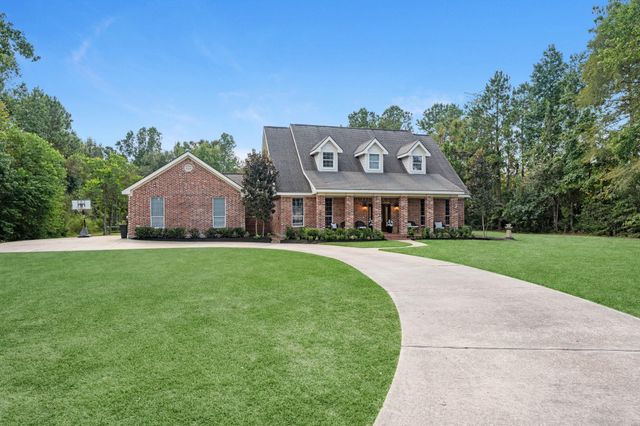 7519 Millies Run Road, Montgomery, TX 77316