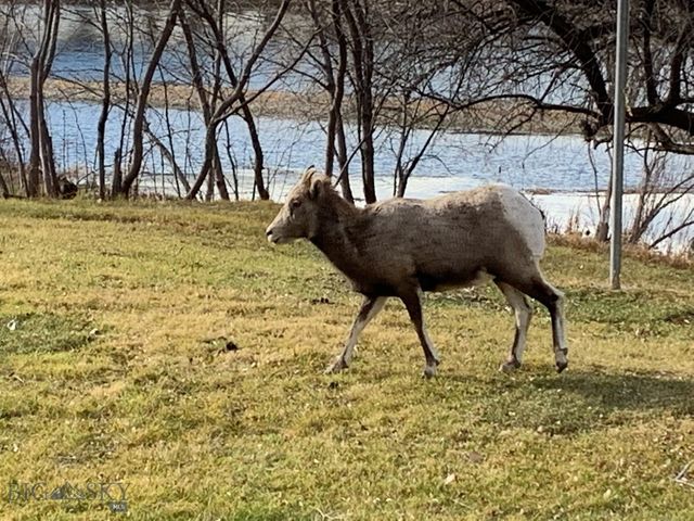 7 Meadow Lane, Cascade, MT 59421