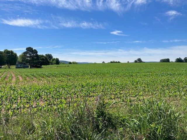 0 Wilder Rd, Hillsboro, TN 37342
