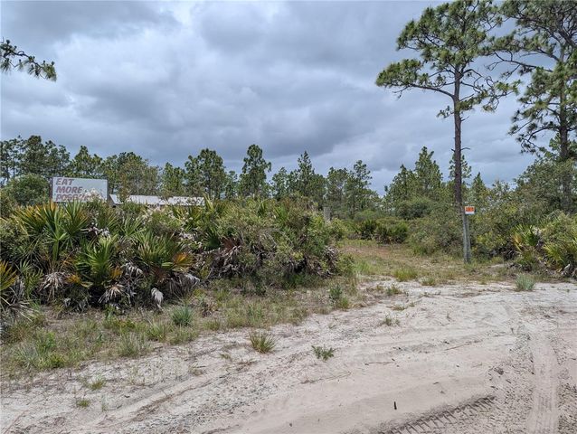 HOLOPAW GROVES ROAD, St Cloud, FL 34771