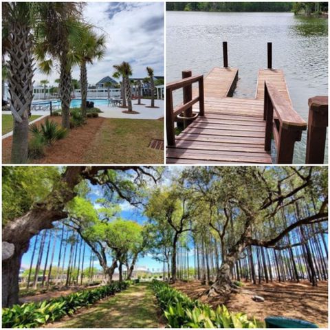 195 Threaded Fern Street, Summerville, SC 29485