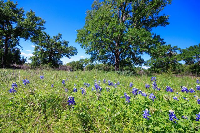 480 Blue Creek DR, Dripping Springs, TX 78620
