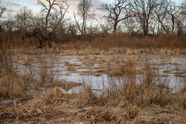 00 N Kishwaukee Road, Stillman Valley, IL 61084