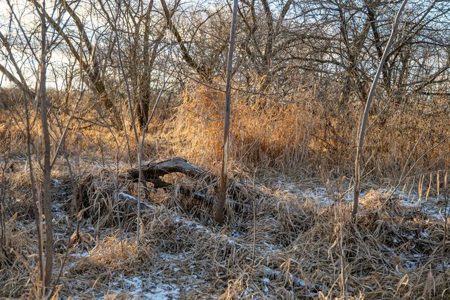 00 N Kishwaukee Road, Stillman Valley, IL 61084