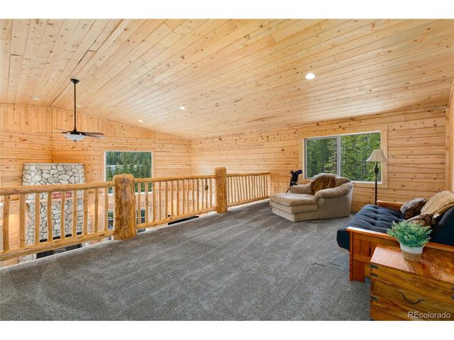696 Brook Dr, Idaho Springs, CO 80452