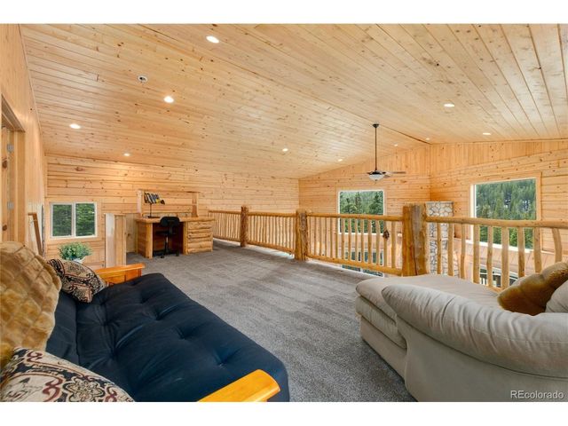 696 Brook Dr, Idaho Springs, CO 80452
