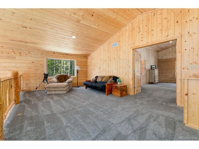 696 Brook Dr, Idaho Springs, CO 80452