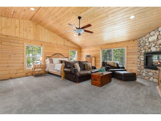 696 Brook Dr, Idaho Springs, CO 80452