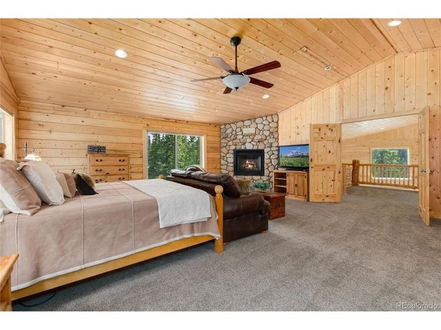 696 Brook Dr, Idaho Springs, CO 80452